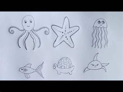 drawing of aquatic animals|Learn How to Draw Aquatic Animals .